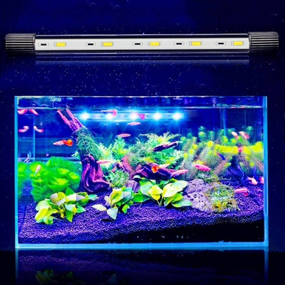 Светодиодная подсветка для аквариума — как выбрать лампы и светильники | laguna
