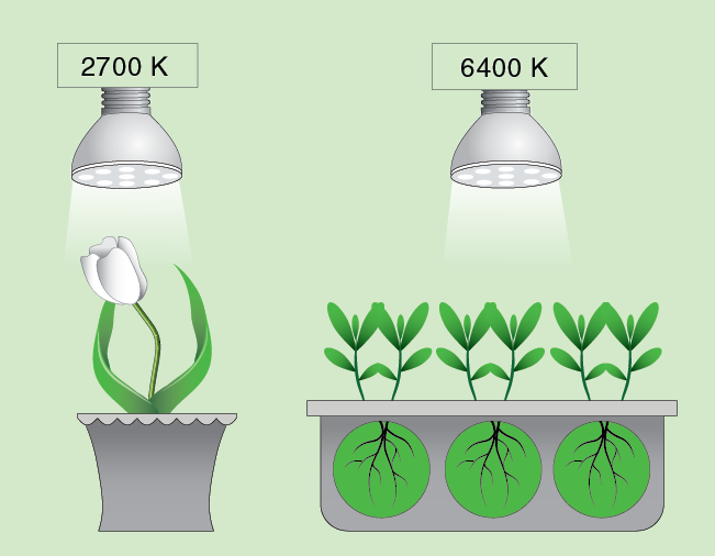 Какие лампы для растений лучше выбрать: 135 фото искусственного освещения для растений в теплице