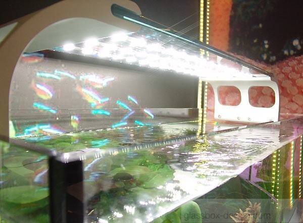 Освещение аквариума светодиодными лампами: как выбрать лампу на крышку