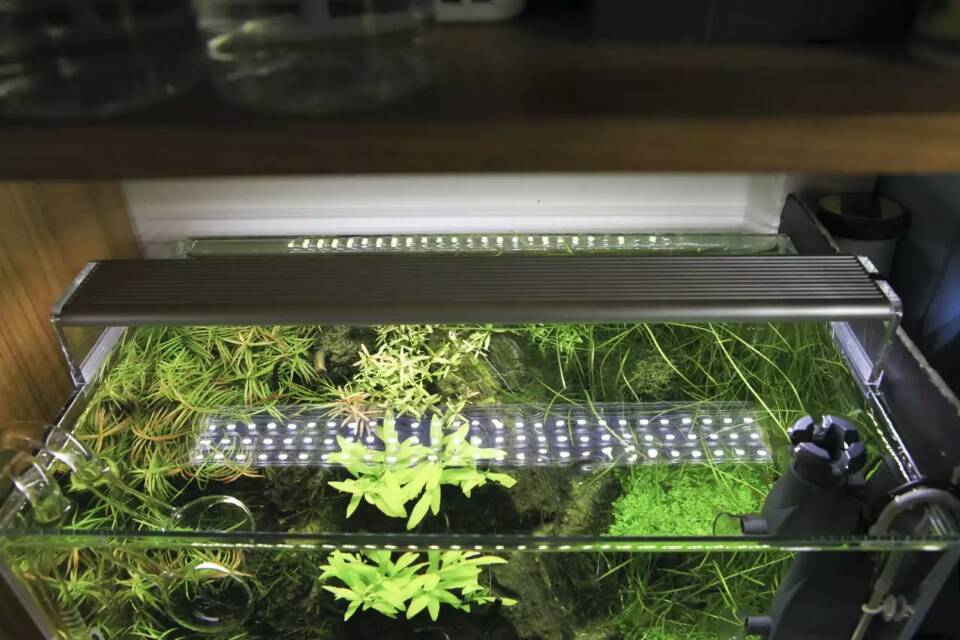 Подсветка для аквариума: преимущества светодиодных ламп, как своими руками выполнить led светильник