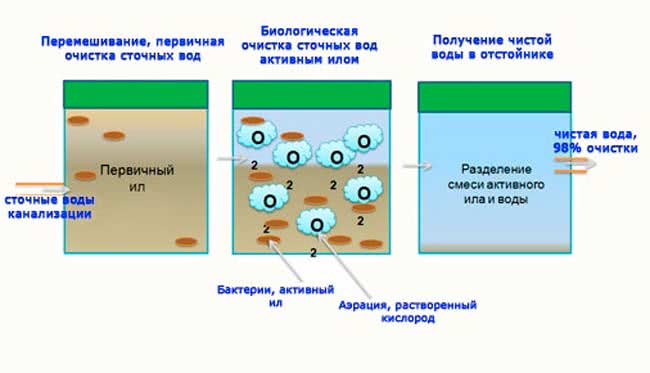 Бактерии для септика: обзор, как правильно выбрать, рейтинг, отзывы :: syl.ru