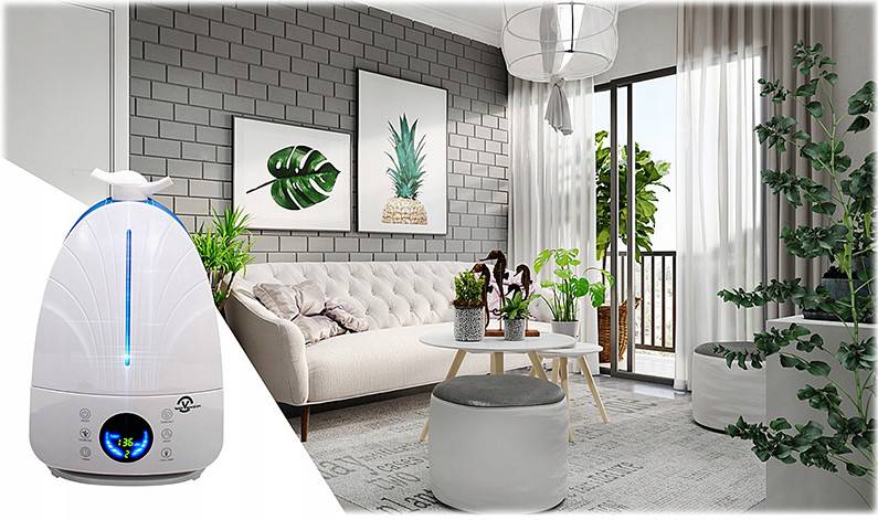 Какой ионизатор воздуха лучше для дома и квартиры - рейтинг 2020 года