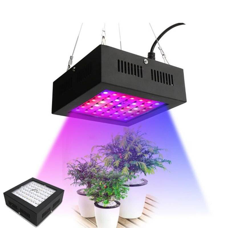 Светодиоды для растений - красные, синие или светодиоды полного спектра