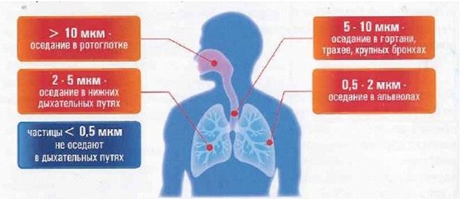 Размер частиц воздуха. Влияние аэрозолей на организм человека. Влияние аэрозоля на органы дыхания человека. Влияние пыли на дыхательную систему. Размер частиц пыли.