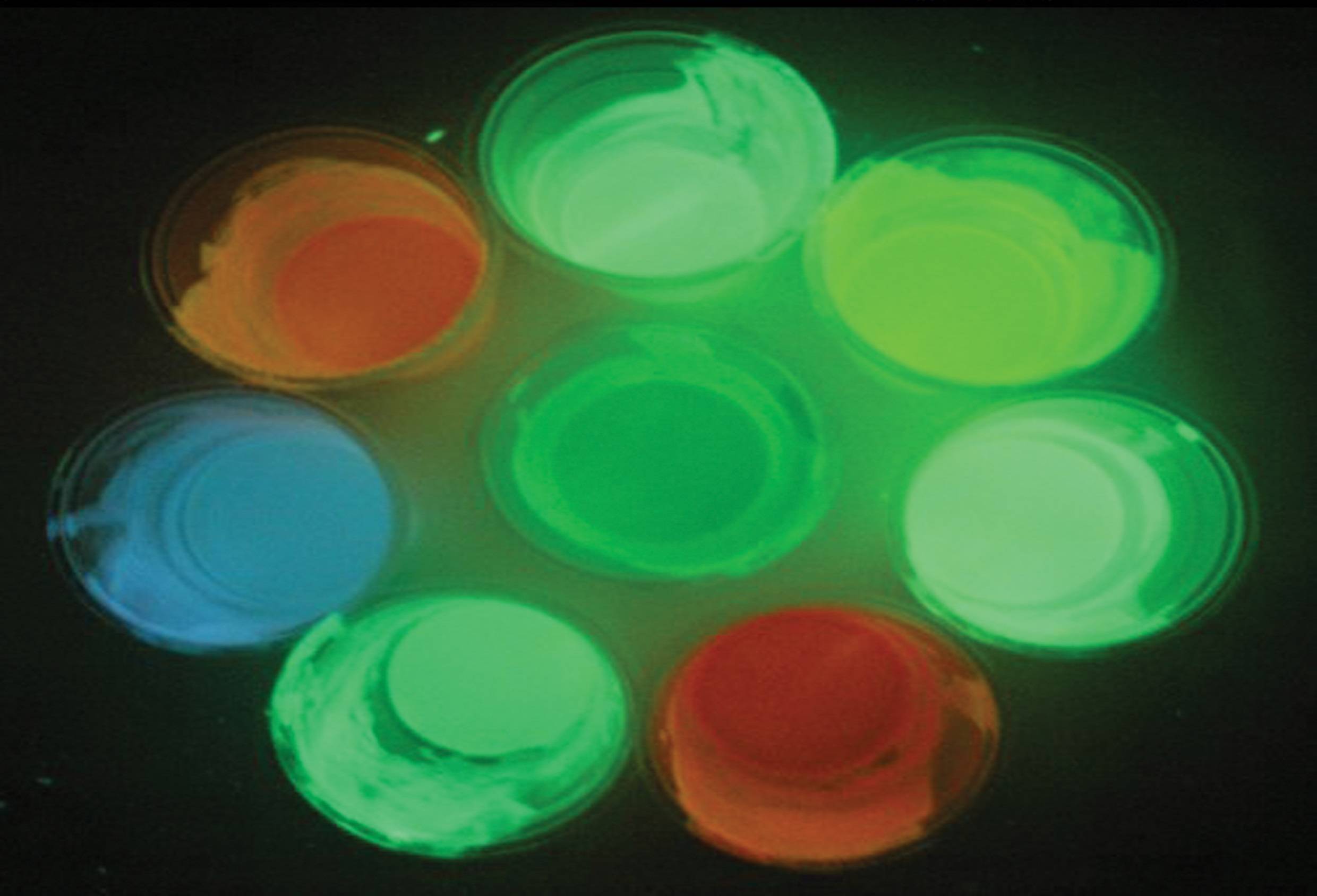Разновидности и особенности светящихся флуоресцентных красок — разбираем все нюансы