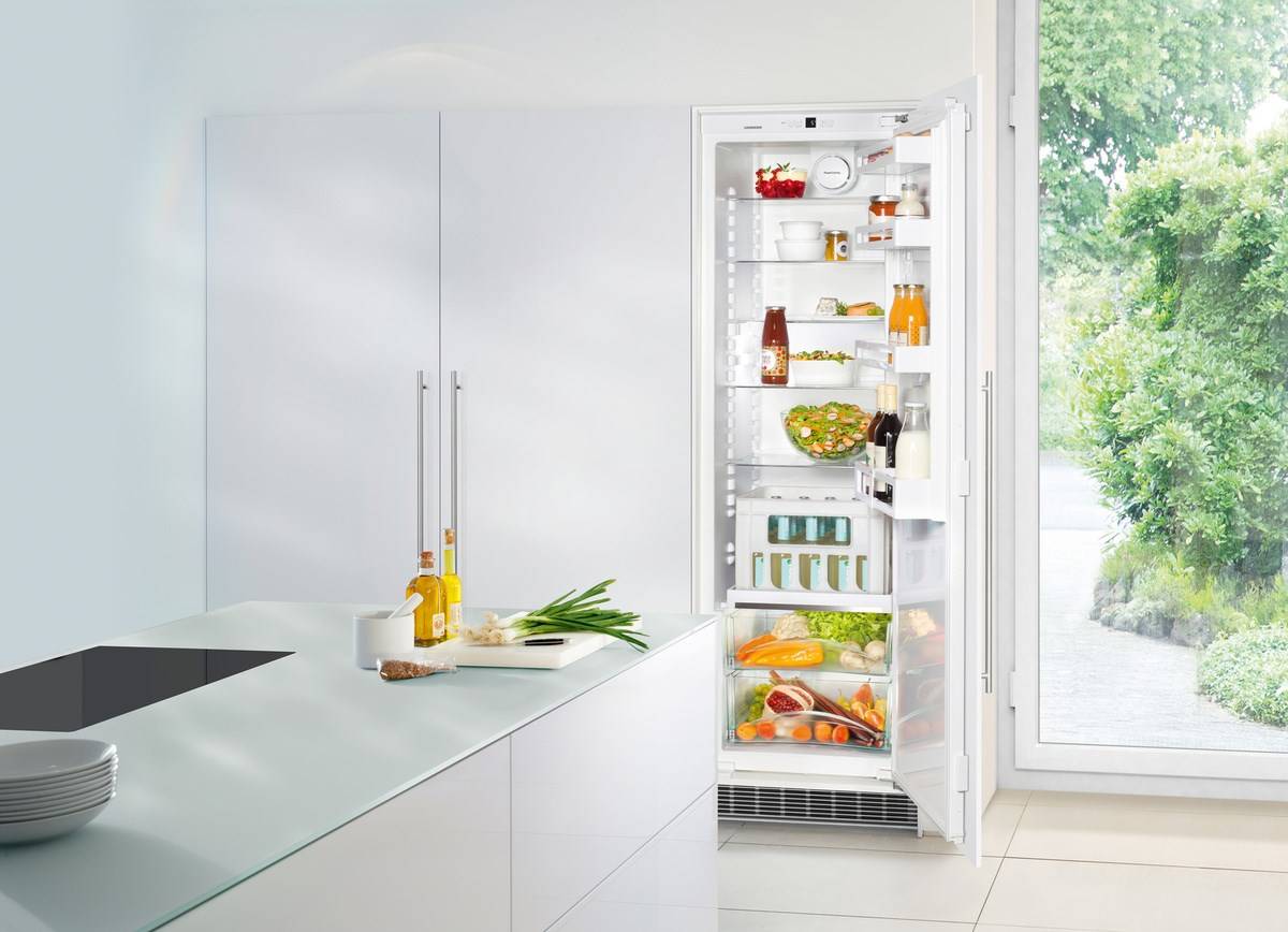 Рейтинг лучших холодильников без морозильной камеры