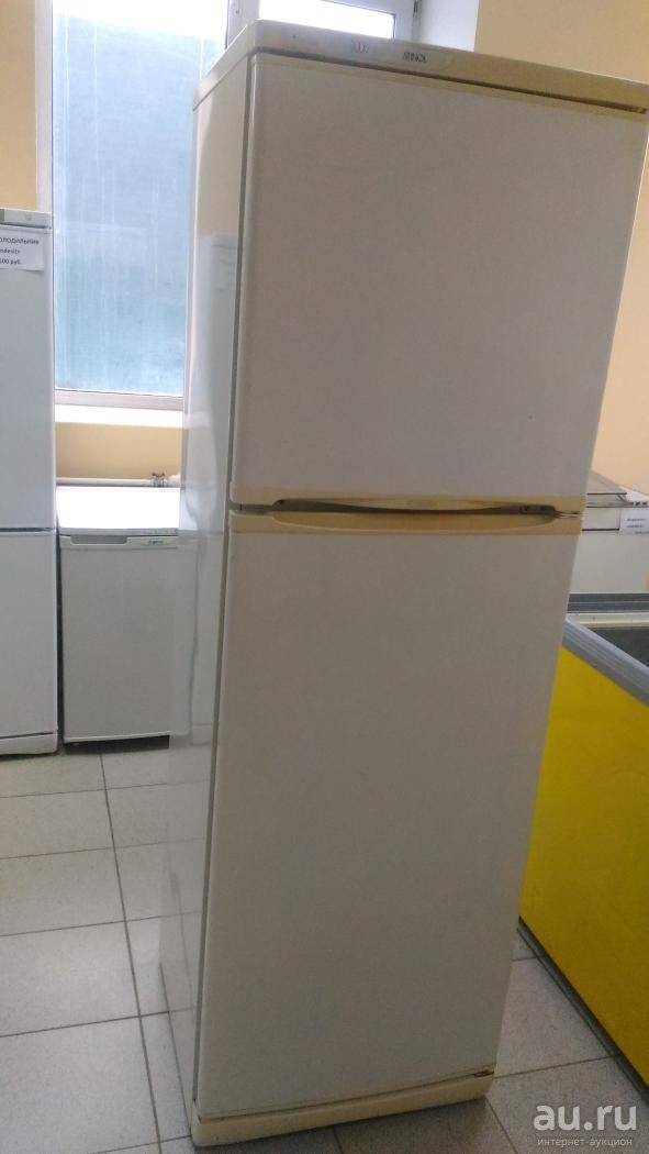 Холодильник stinol: отзывы покупателей и специалистов, двухкамерный, модели, технические характеристики, ноу фрост