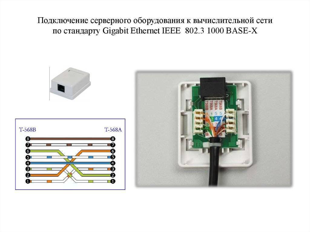 Как подключить сетевую интернет розетку RJ-45 — схема распиновки
